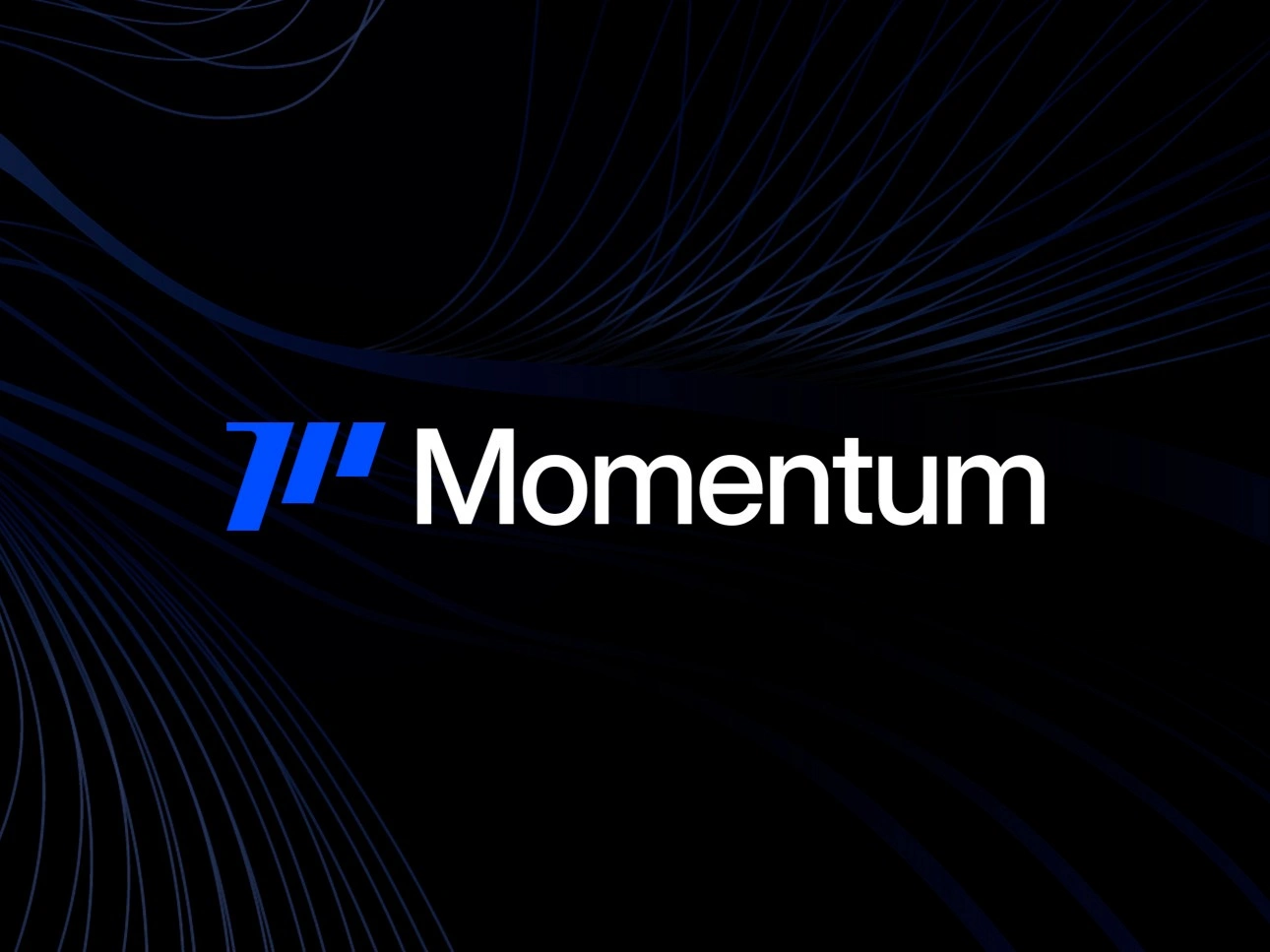 Momentum