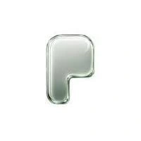 Pons