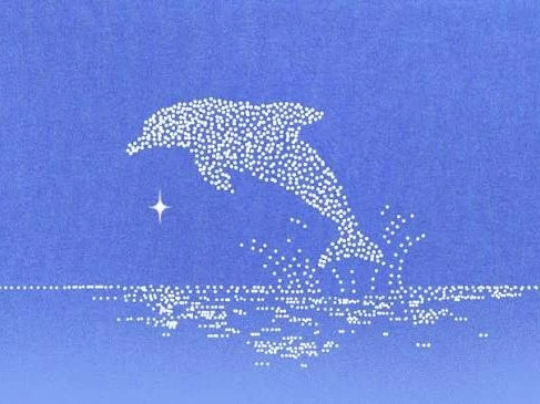 Dolphin Network