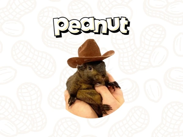Peanut the Squirrel
