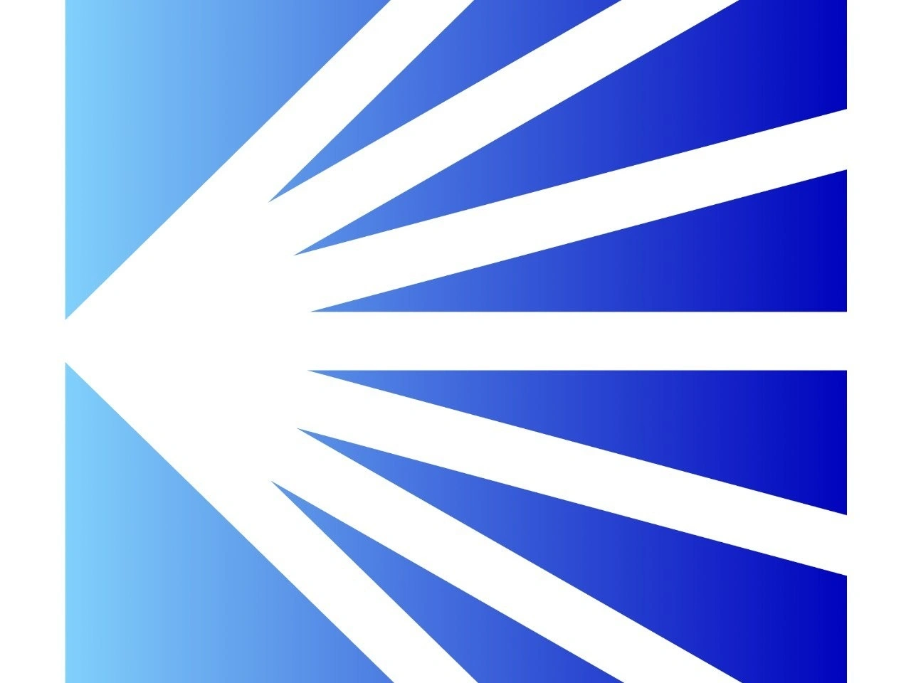 Prism Network