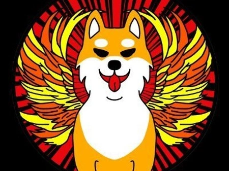 Shib Original Vision