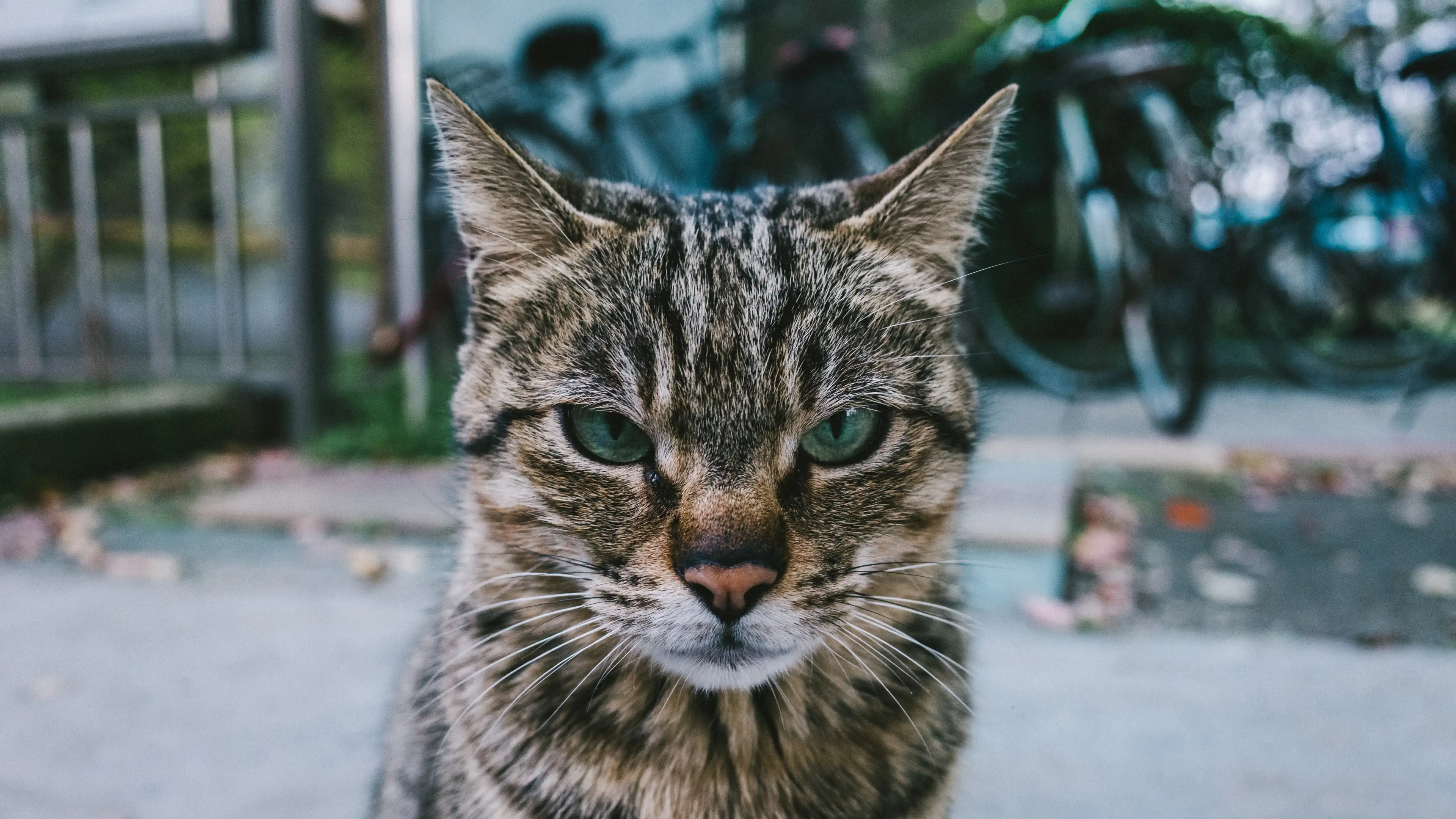 Profile picture of Anonymous user