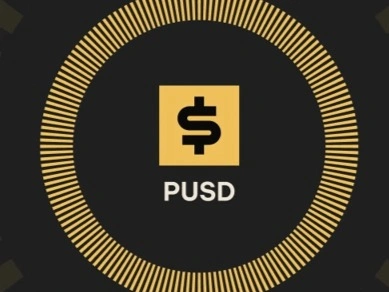 Pleasing USD (PUSD)