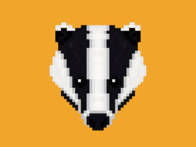 BadgerDAO