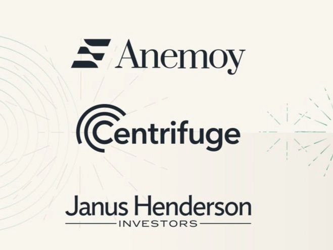 Janus Henderson Anemoy Treasury Fund