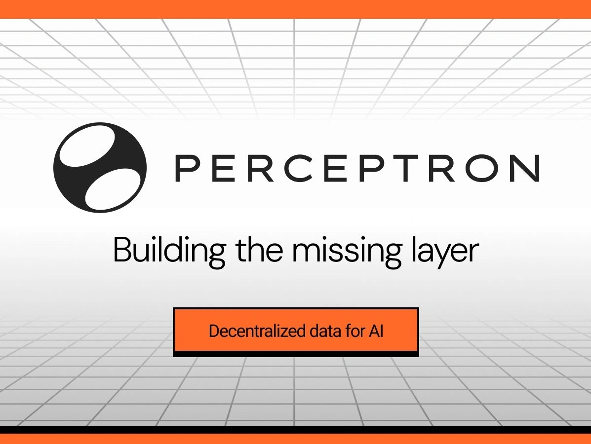 Perceptron Network